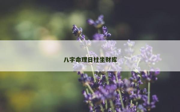 八字命理日柱坐财库