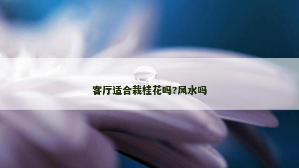 客厅适合栽桂花吗?风水吗