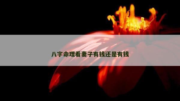 八字命理看妻子有钱还是有钱
