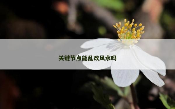 关键节点能乱改风水吗