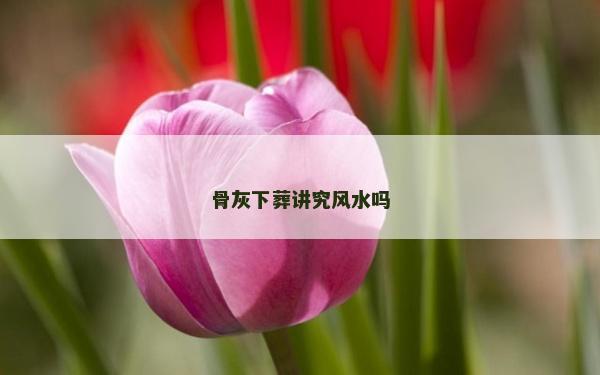 骨灰下葬讲究风水吗