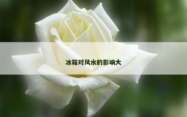 冰箱对风水的影响大