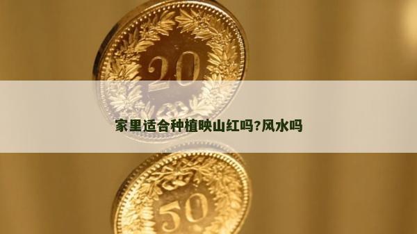 家里适合种植映山红吗?风水吗