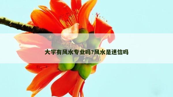 大学有风水专业吗?风水是迷信吗