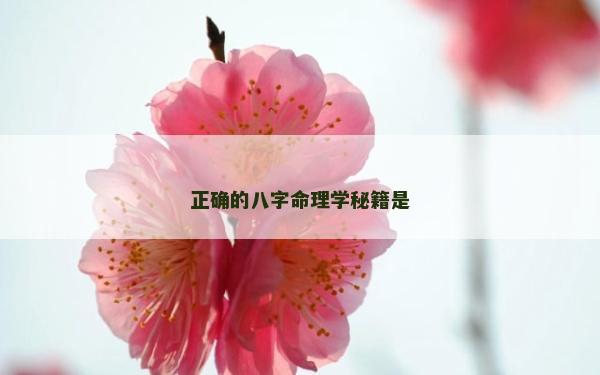 正确的八字命理学秘籍是