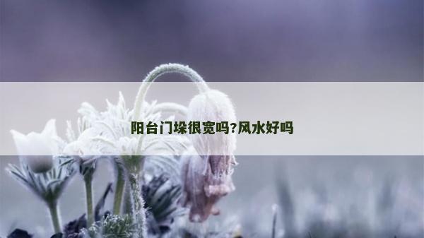 阳台门垛很宽吗?风水好吗