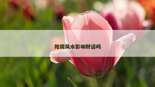 阳房风水影响财运吗