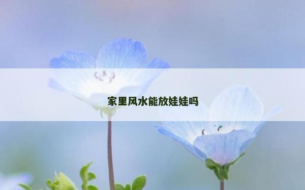 家里风水能放娃娃吗