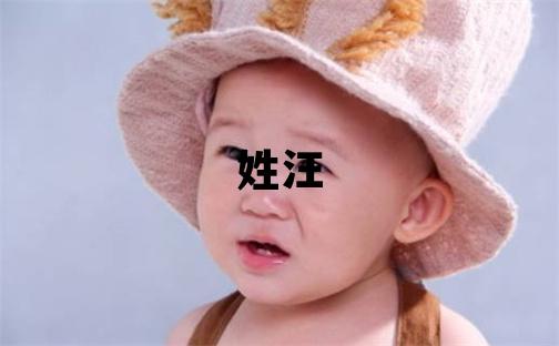 姓汪叫什么名字好 姓汪的男孩朗朗上口的名字