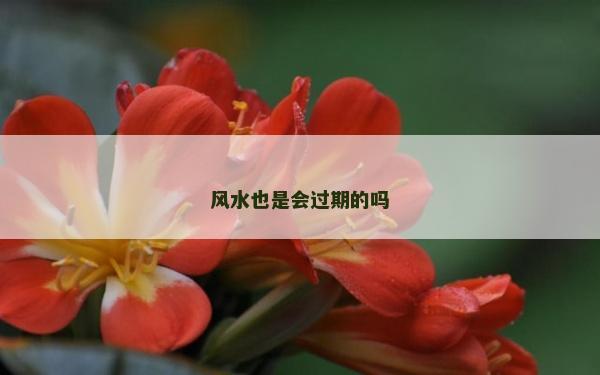 风水也是会过期的吗