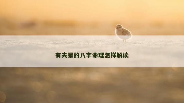 有夫星的八字命理怎样解读