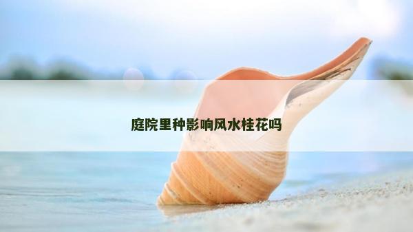 庭院里种影响风水桂花吗