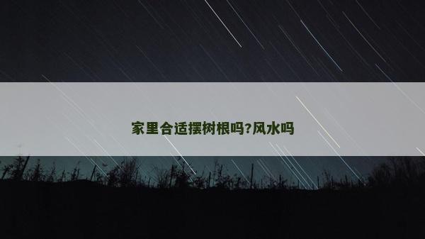 家里合适摆树根吗?风水吗