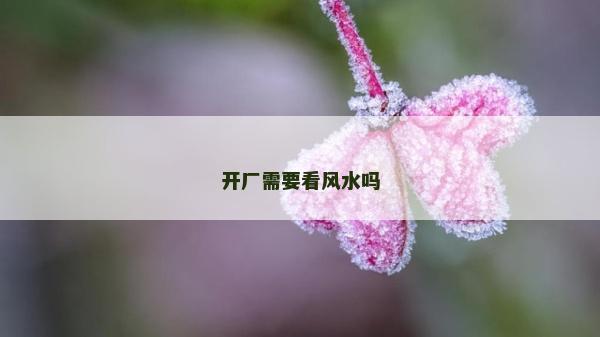开厂需要看风水吗