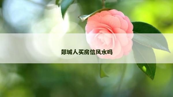 郯城人买房信风水吗