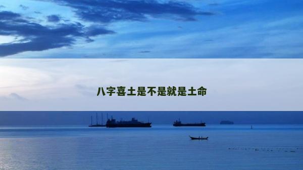 八字喜土是不是就是土命