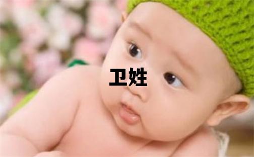 卫姓大气文雅的男宝宝名字