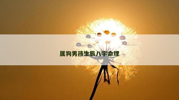 属狗男孩生辰八字命理