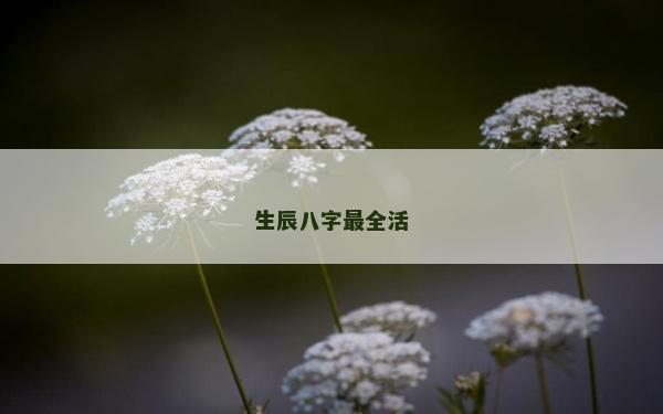 生辰八字最全活