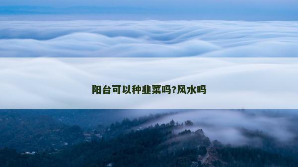 阳台可以种韭菜吗?风水吗