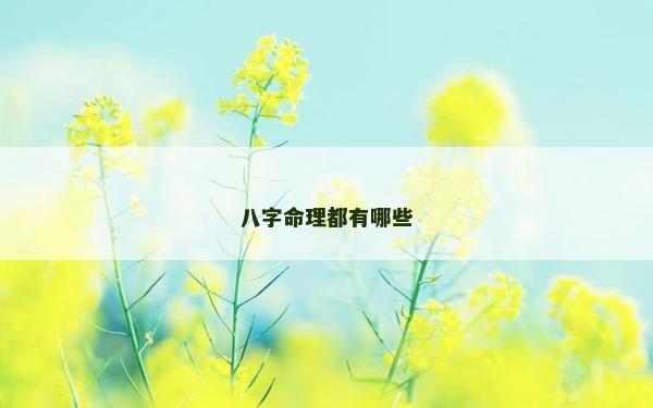 八字命理都有哪些