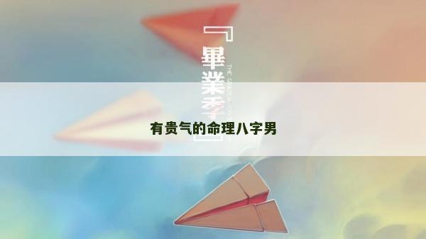 有贵气的命理八字男