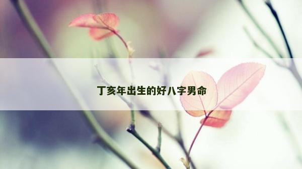 丁亥年出生的好八字男命