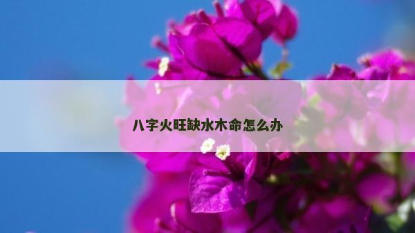 八字火旺缺水木命怎么办