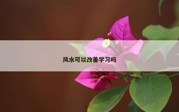 风水可以改善学习吗