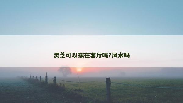 灵芝可以摆在客厅吗?风水吗