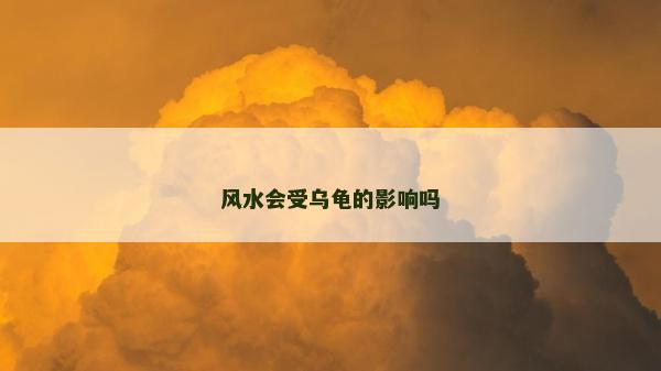 风水会受乌龟的影响吗