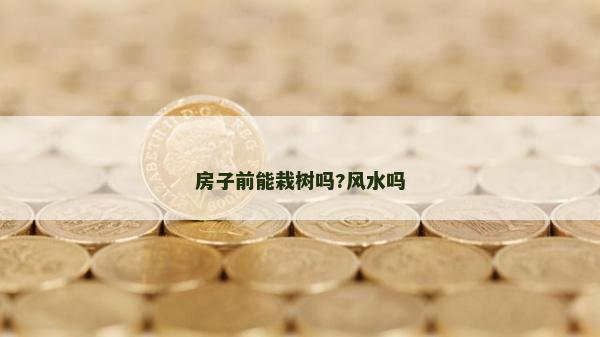 房子前能栽树吗?风水吗