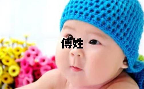 傅姓取名有诗意的男宝宝名字