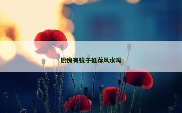 厨房有镜子推荐风水吗