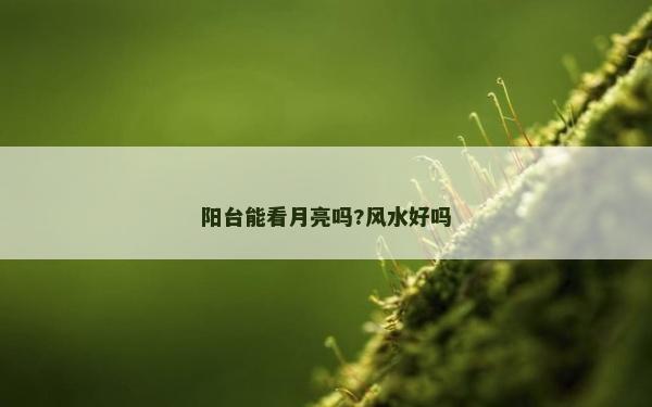 阳台能看月亮吗?风水好吗