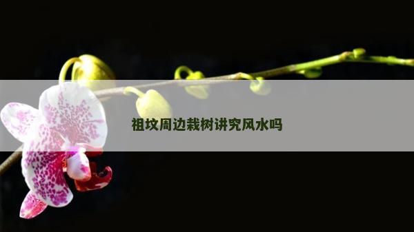 祖坟周边栽树讲究风水吗