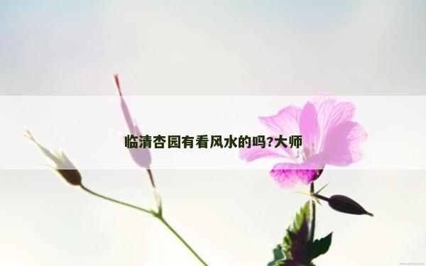 临清杏园有看风水的吗?大师
