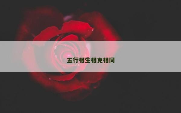 五行相生相克相同