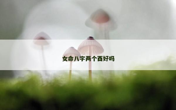 女命八字两个酉好吗