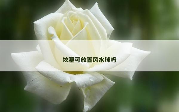 坟墓可放置风水球吗