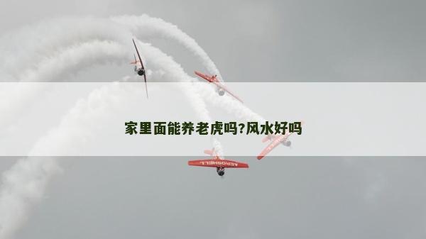 家里面能养老虎吗?风水好吗
