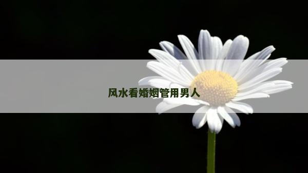 风水看婚姻管用男人