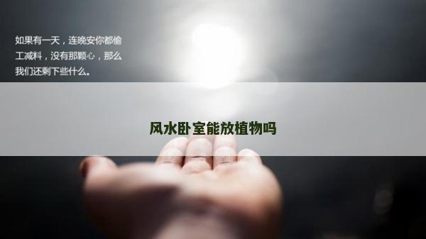 风水卧室能放植物吗
