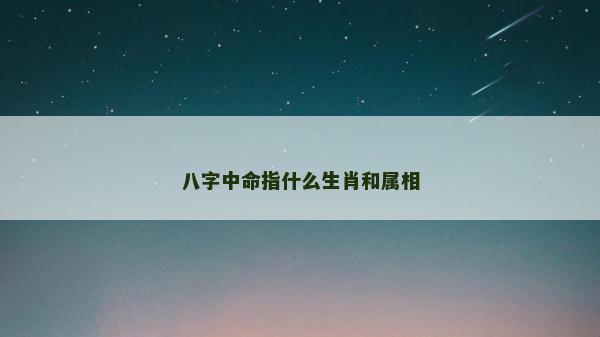 八字中命指什么生肖和属相