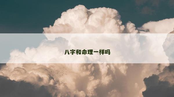 八字和命理一样吗