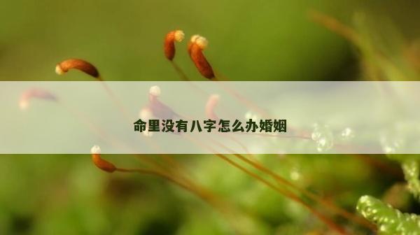 命里没有八字怎么办婚姻