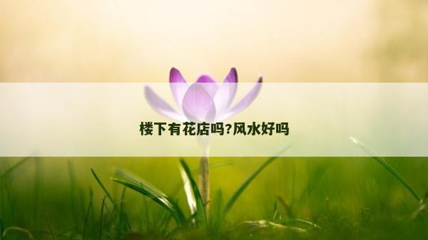 楼下有花店吗?风水好吗