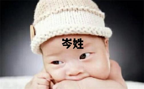 岑姓有智慧才气的女孩名字,取什么名字好