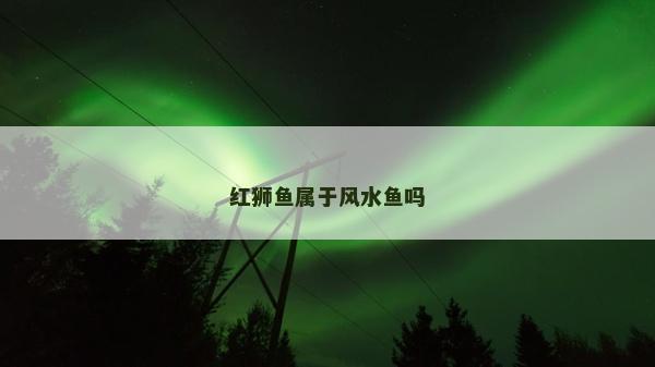 红狮鱼属于风水鱼吗