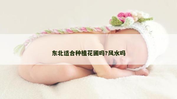 东北适合种植花圃吗?风水吗